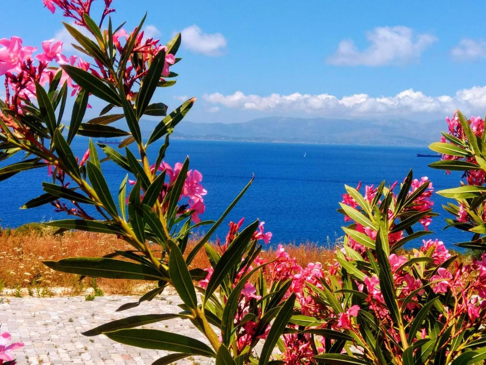 Mavi Panorama Villa Cesme Bagian luar foto