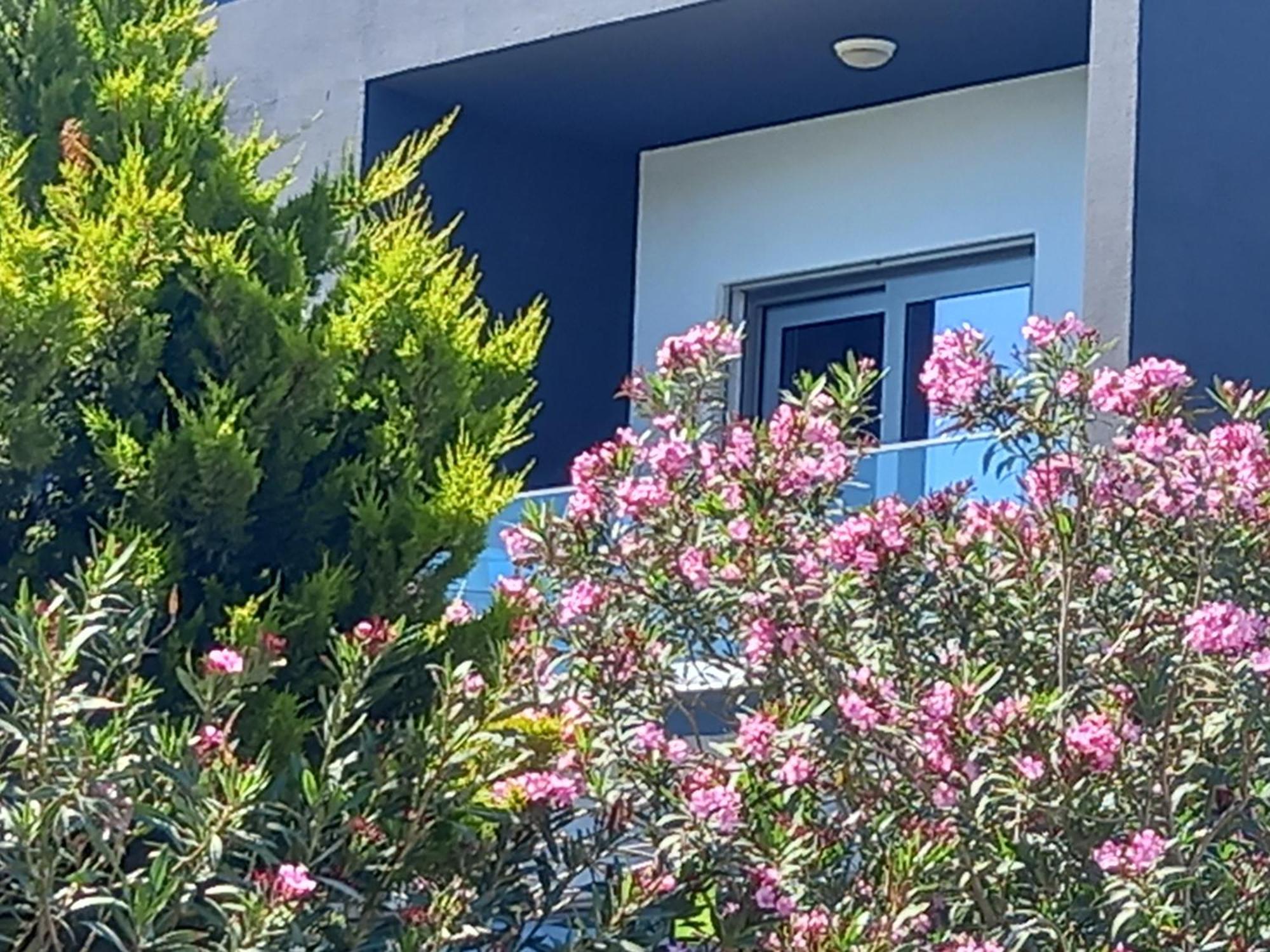 Mavi Panorama Villa Cesme Bagian luar foto