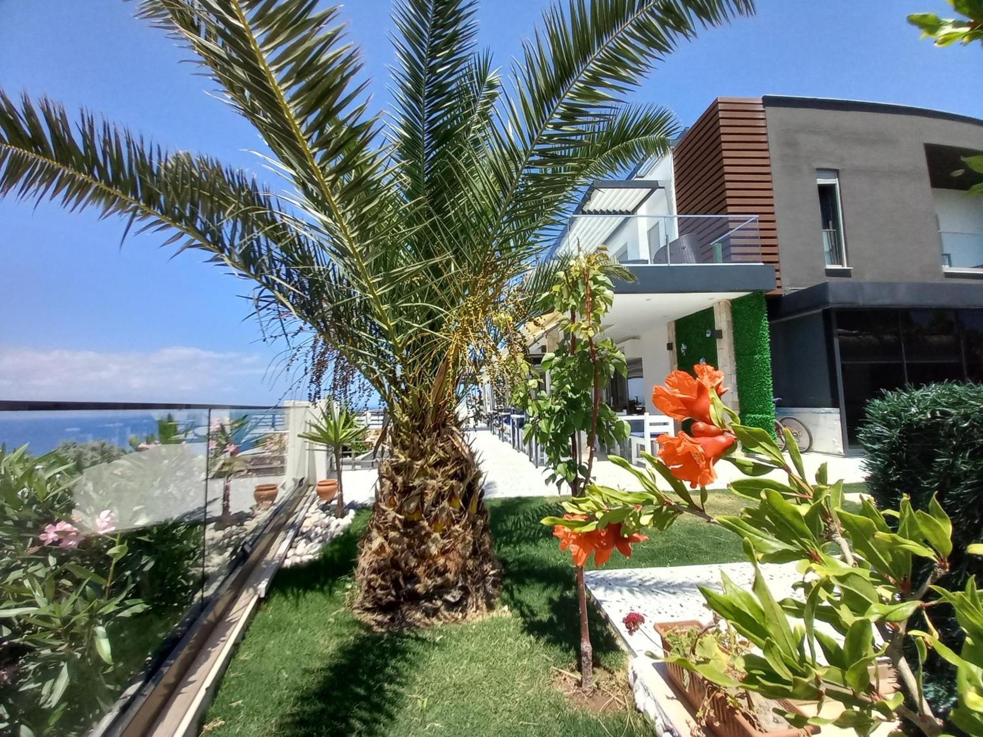 Mavi Panorama Villa Cesme Bagian luar foto